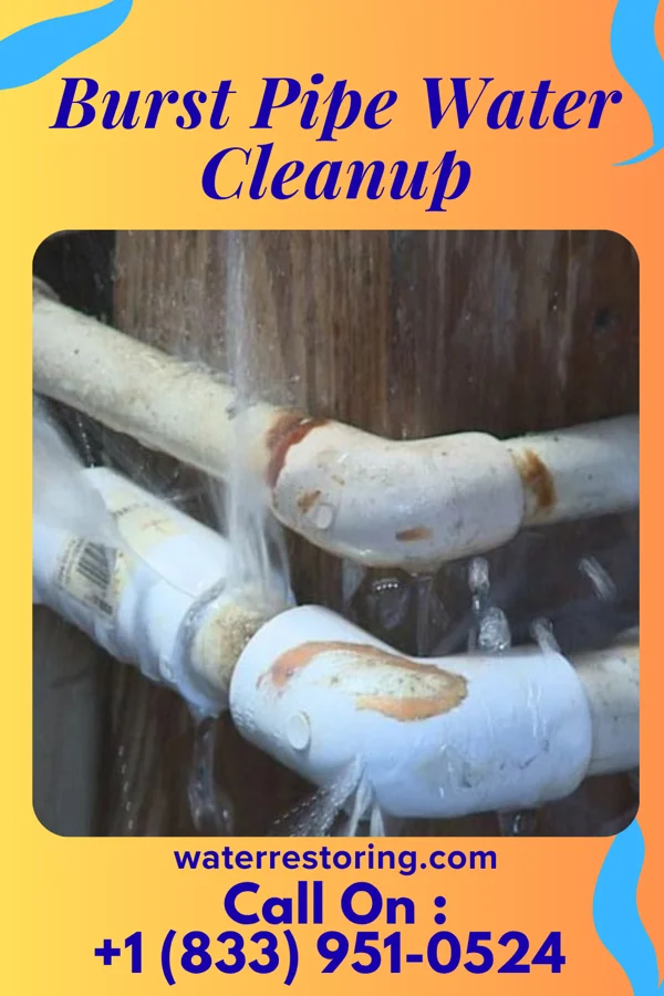 Burst Pipe Water Cleanup in Bradfordsville, KY
