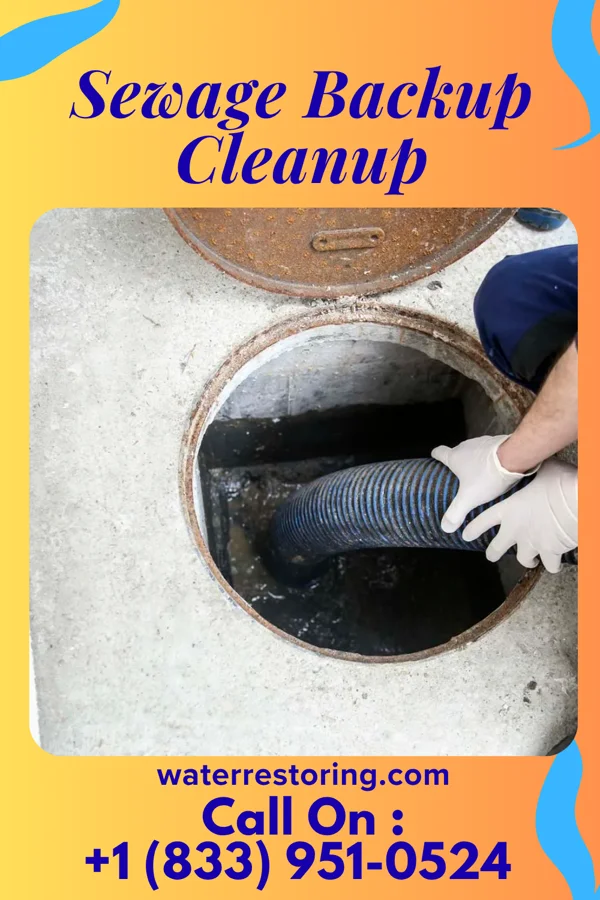 Sewage Backup Cleanup in Bradfordsville, KY