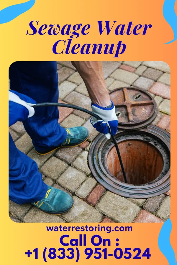 Sewage Water Cleanup in Bradfordsville, KY