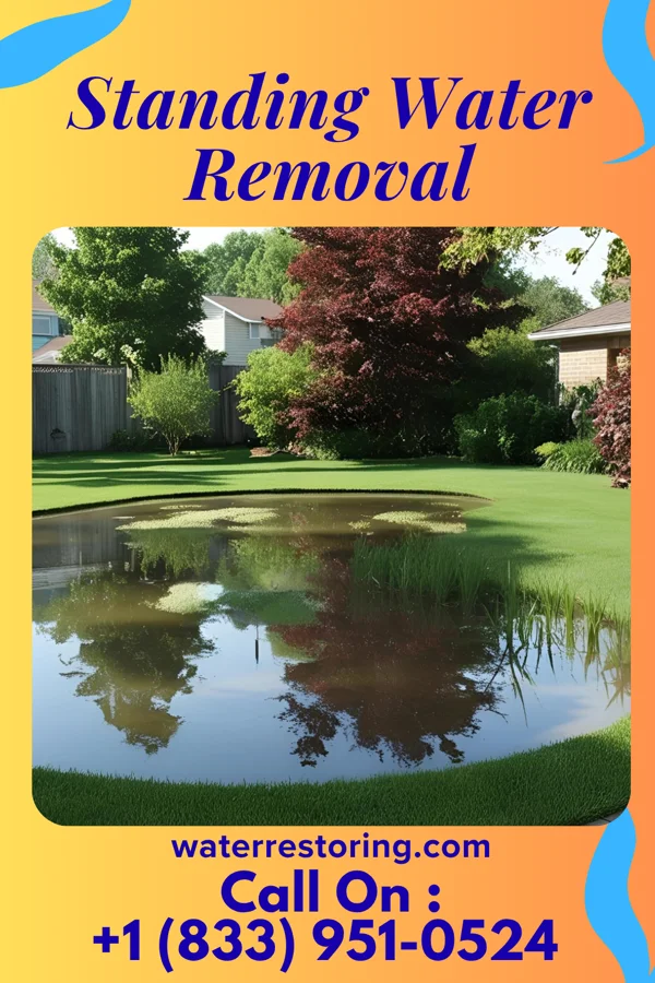 Standing Water Removal in Bradfordsville, KY
